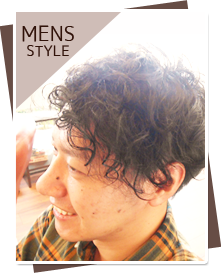 �X�^�C���摜