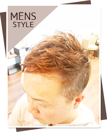 �X�^�C���摜