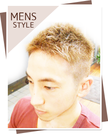 �X�^�C���摜