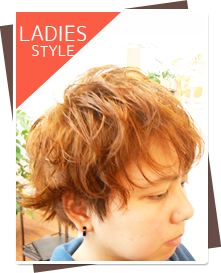 �X�^�C���摜